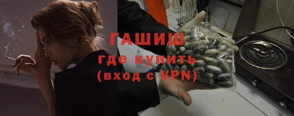 apvp Инсар
