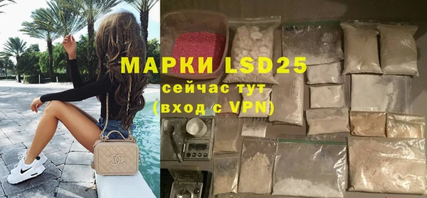 спиды Каменногорск