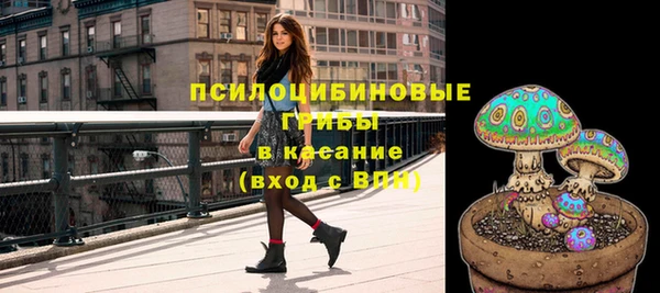 apvp Инсар