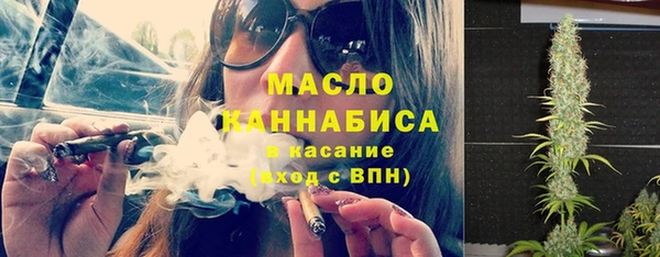 спиды Каменногорск