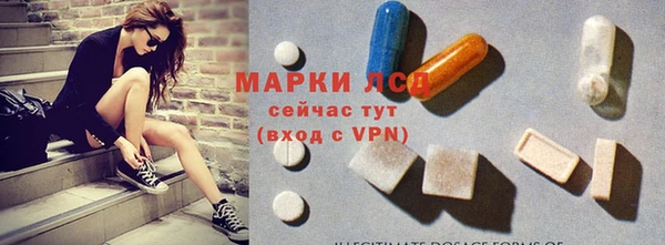 apvp Инсар