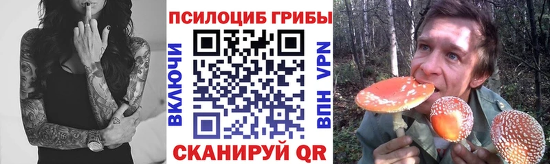 Купить закладки  Задонск  Галлюциногенные грибы Psilocybe 